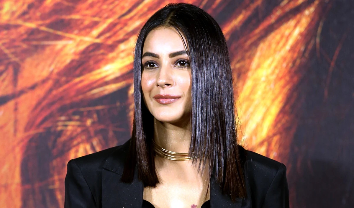 ‘यहाँ आपको लगातार खुद को साबित करना होता है’, Bollywood में अपनी जगह बनाने पर बोलीं Shehnaaz Gill