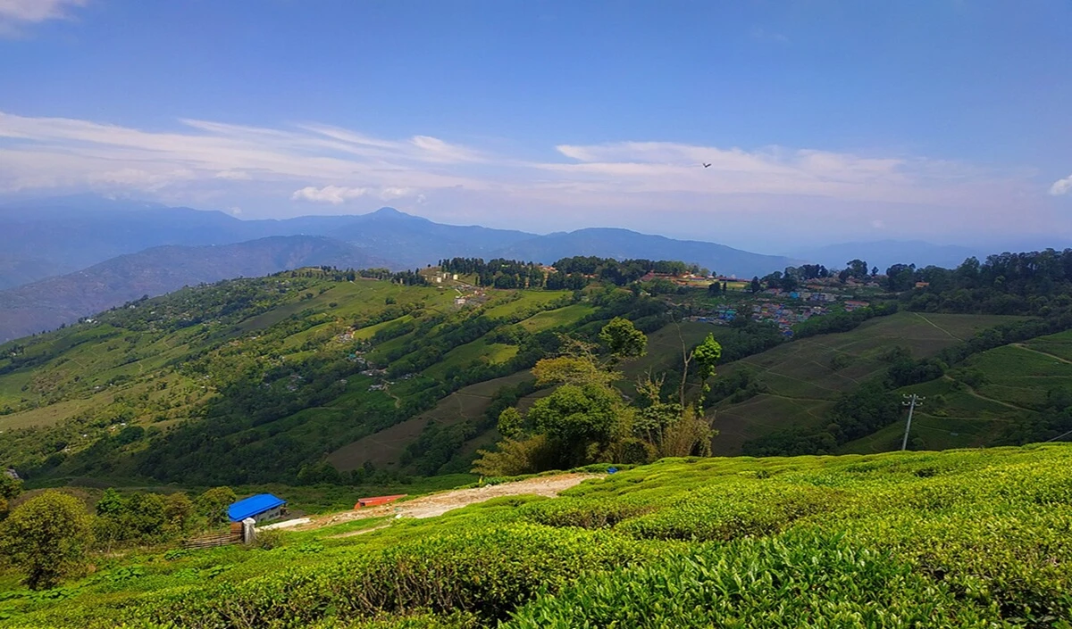 Travel Tips: मानसून में Landslide का खतरा? सुरक्षित सफर के लिए बेस्ट हैं ये 4 Hill Stations, पढ़ें Travel Tips