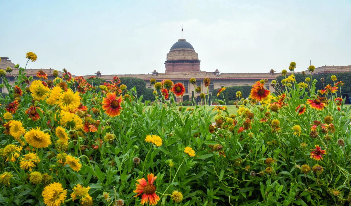 Delhi-NCR वाले 15 सितंबर तक देख सकेंगे Amrit Udyan की खूबसूरती! Free Entry के लिए जानें पूरा Registration Process