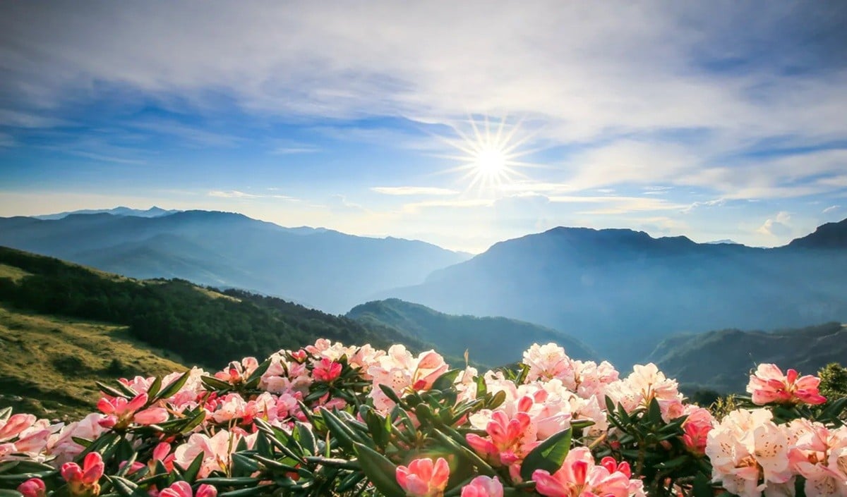 Coolest Places In Gujarat: Matheran से Wilson Hills तक, गुजरात की गर्मी को मात देने के लिए बेस्ट हैं ये 6 Hill Stations