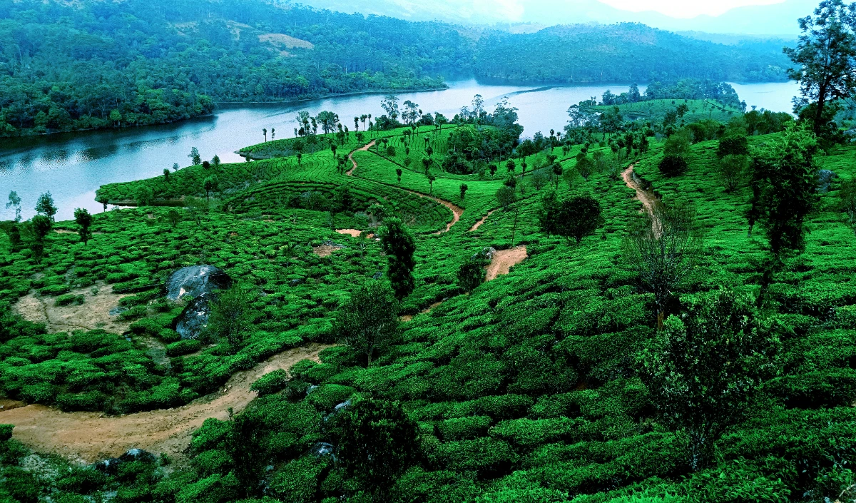 Long Weekend Travel Plan: अगस्त की छुट्टियों में Udaipur और Coorg की हरियाली और Monsoon नजारों का उठाएं लुत्फ