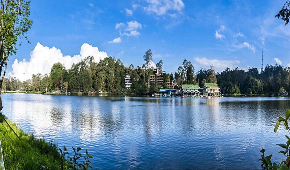 Travel Tips: कम बजट में 2 दिन का सुकून देंगे Delhi NCR के पास स्थित Morni Hills और Sariska